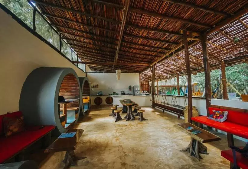 Tubo Tulum Hostel   Unique Stay