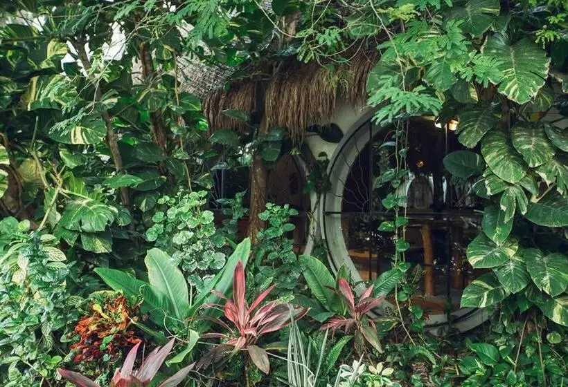 Tubo Tulum Hostel   Unique Stay