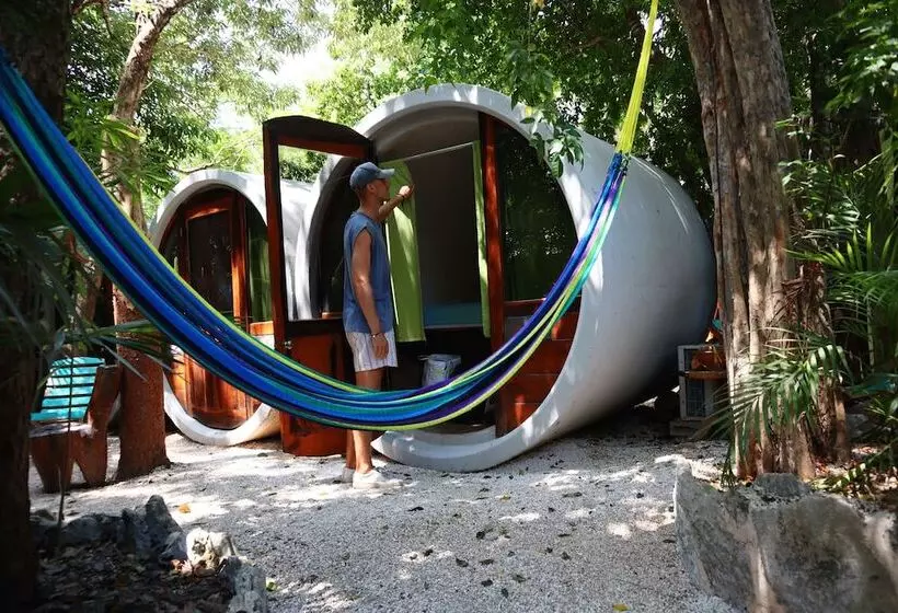 Tubo Tulum Hostel   Unique Stay