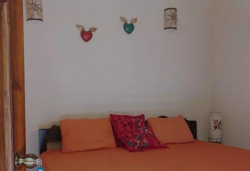 Tubo Tulum Hostel   Unique Stay