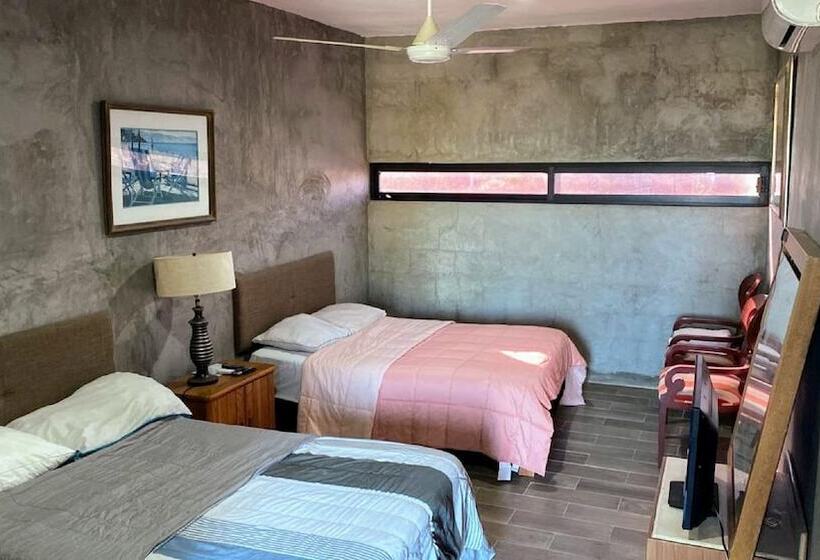 酒店 Aeropuerto By Oyo