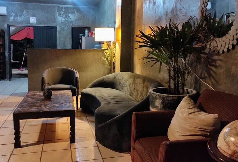 酒店 Aeropuerto By Oyo