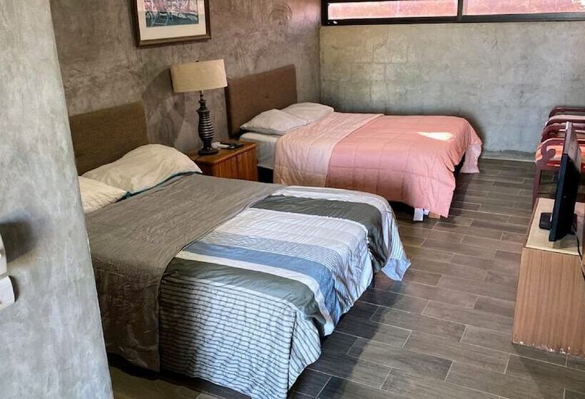 酒店 Aeropuerto By Oyo