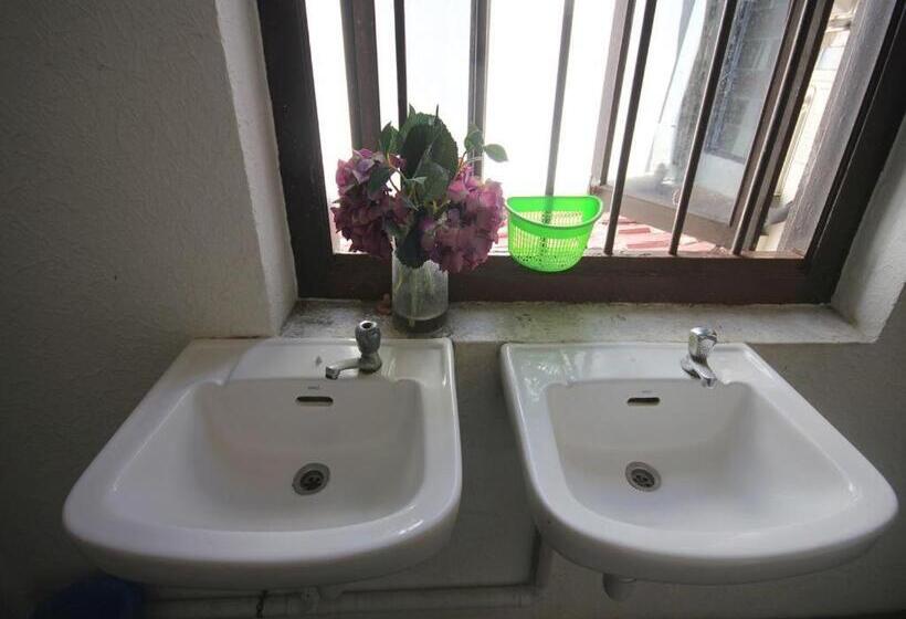 Cocoa Mews Cafe & Homestay Hostel