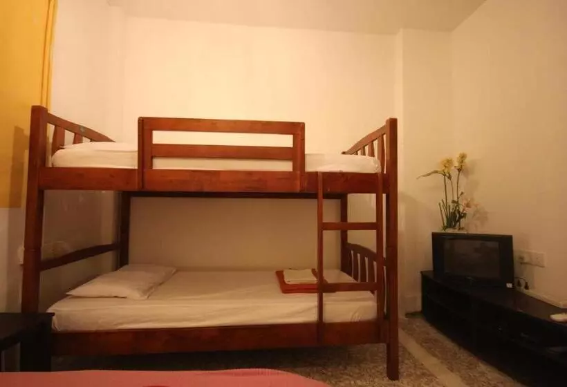 Cocoa Mews Cafe & Homestay   Hostel