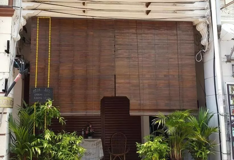 Cocoa Mews Cafe & Homestay   Hostel