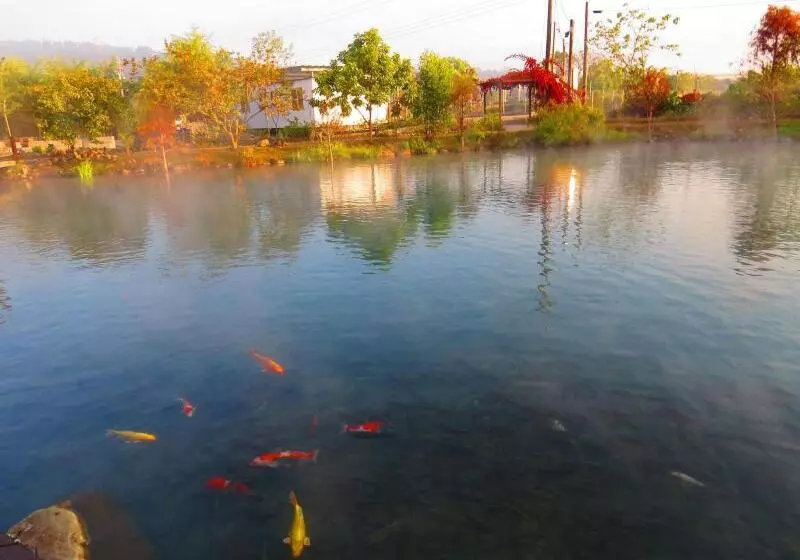 تختخواب و صبحانه Beauty Spring N Harvest Guest House