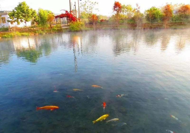 تختخواب و صبحانه Beauty Spring N Harvest Guest House