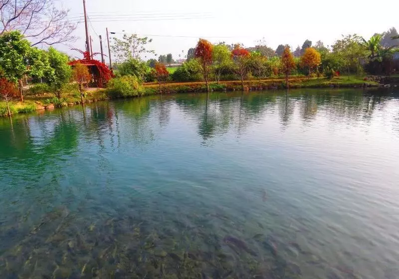 تختخواب و صبحانه Beauty Spring N Harvest Guest House
