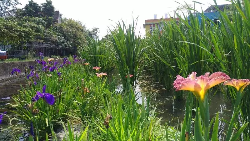 تختخواب و صبحانه Beauty Spring N Harvest Guest House
