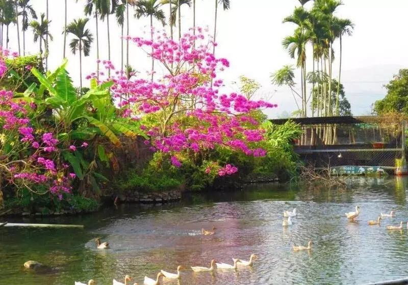تختخواب و صبحانه Beauty Spring N Harvest Guest House
