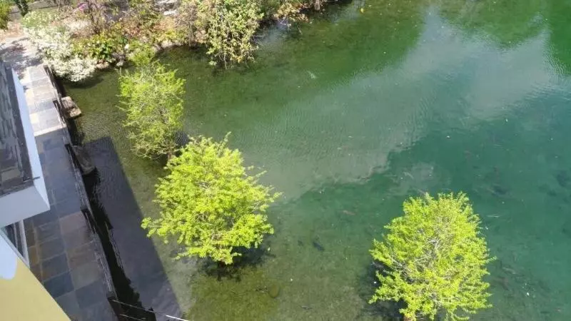 تختخواب و صبحانه Beauty Spring N Harvest Guest House