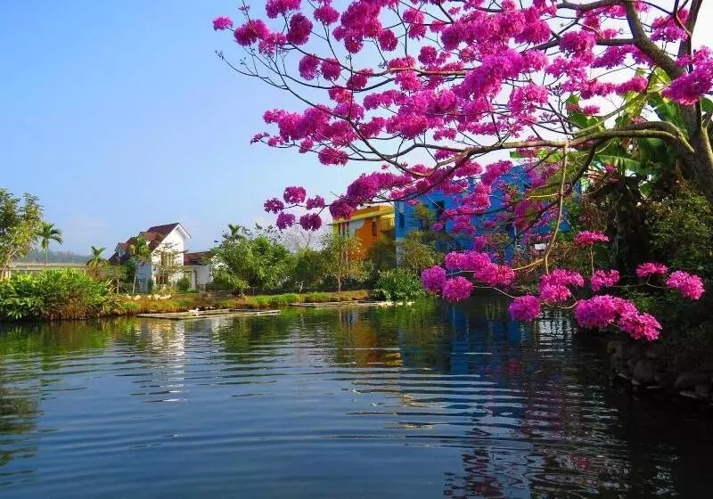 تختخواب و صبحانه Beauty Spring N Harvest Guest House