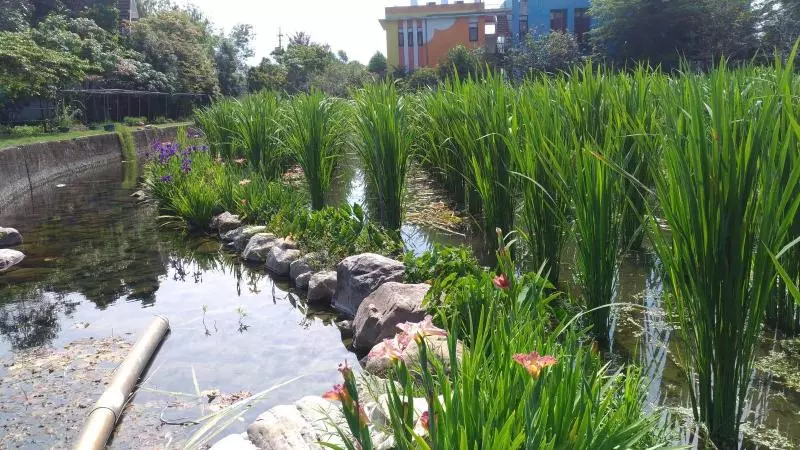 تختخواب و صبحانه Beauty Spring N Harvest Guest House
