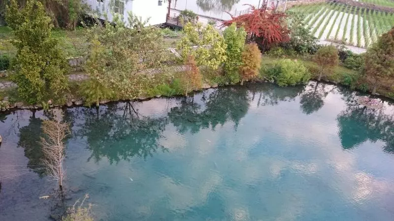تختخواب و صبحانه Beauty Spring N Harvest Guest House