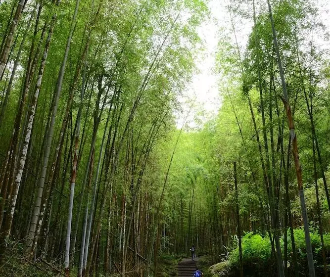 هتل Ginkgo