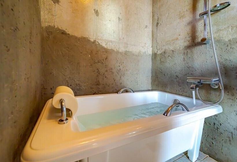 Отель Innude Pension