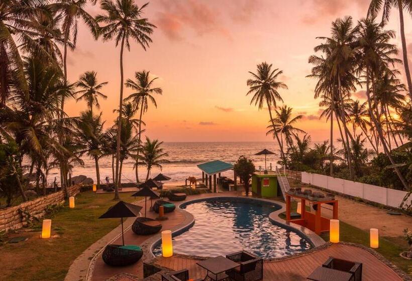 בית מלון כפרי J Ambalangoda