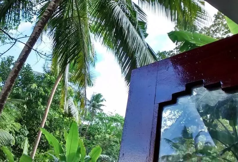 پانسیون Jungleside House