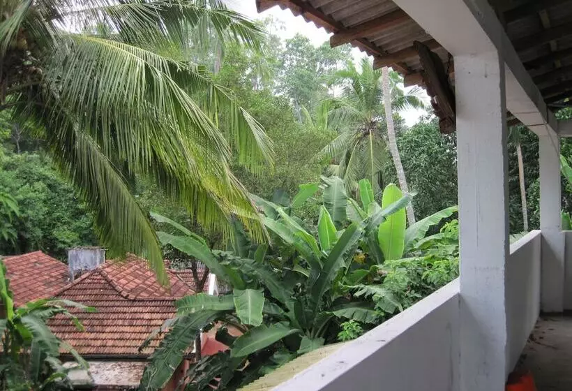 پانسیون Jungleside House