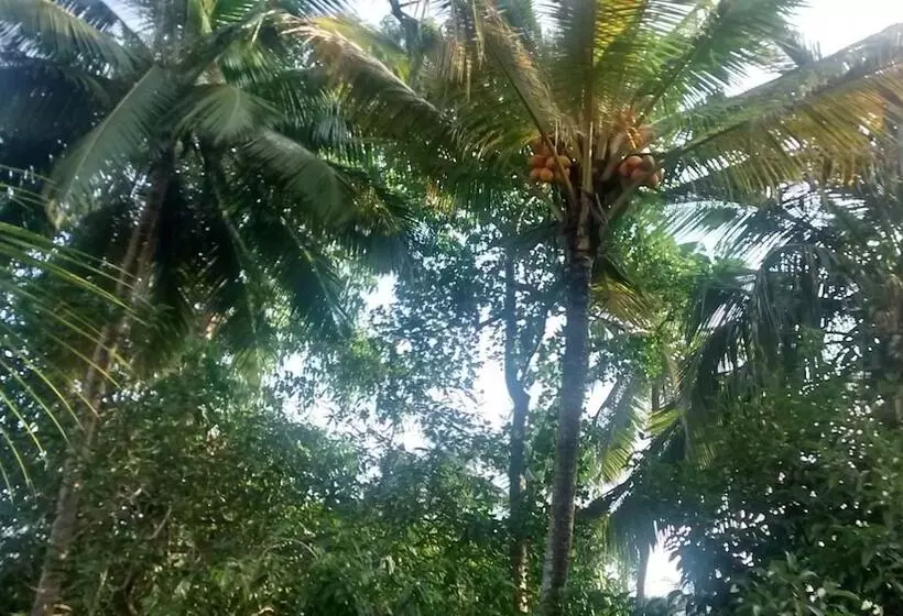 پانسیون Jungleside House
