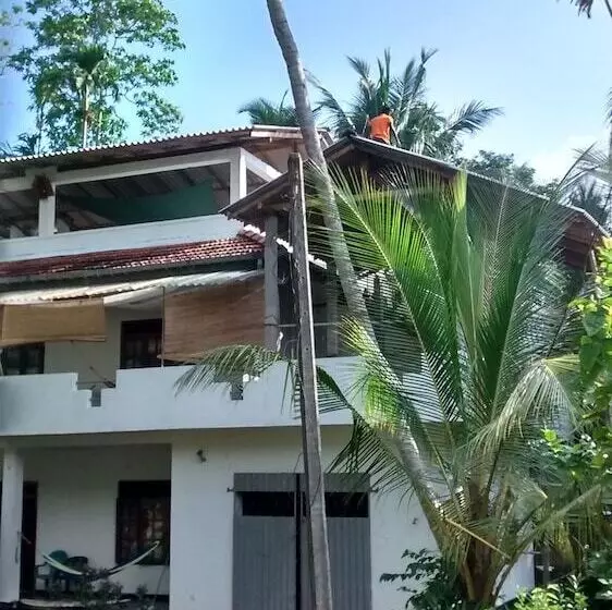 پانسیون Jungleside House