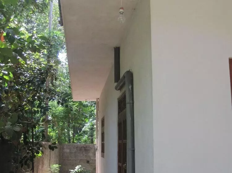 پانسیون Jungleside House