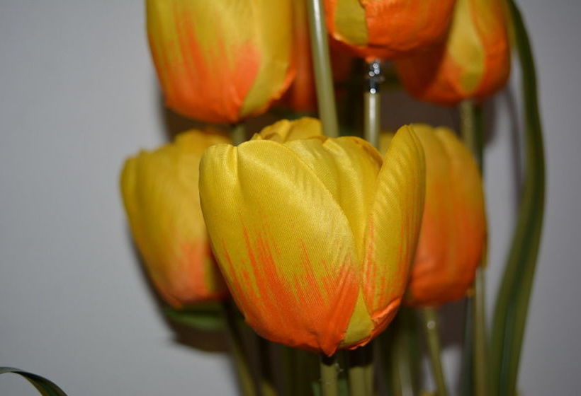 Пансион Lagoon Resort Goviyapana