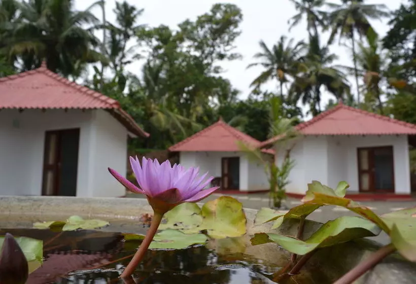 Majatalo Lagoon Resort Goviyapana