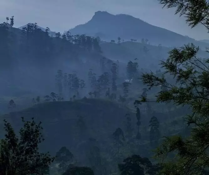 ペンション Strathdon By Zinc Journeys