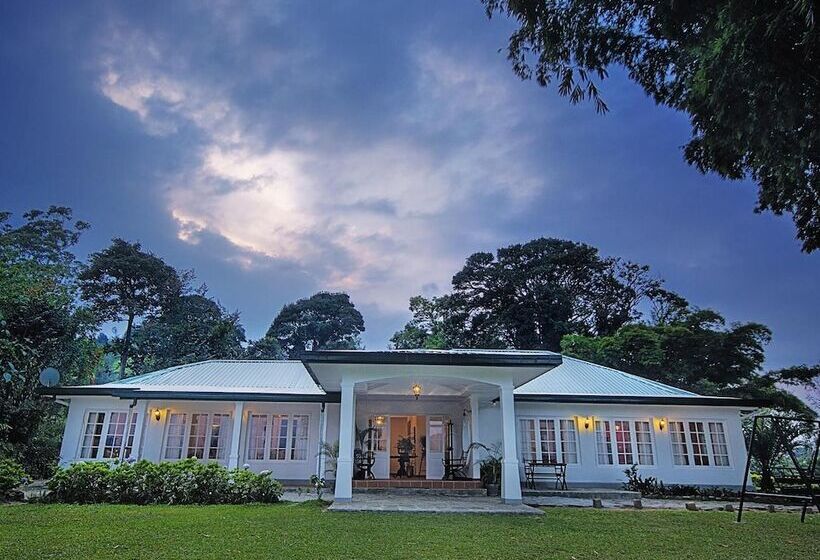 Pensione Strathdon By Zinc Journeys