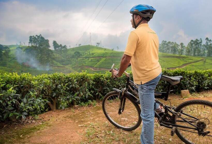 Pensione Strathdon By Zinc Journeys