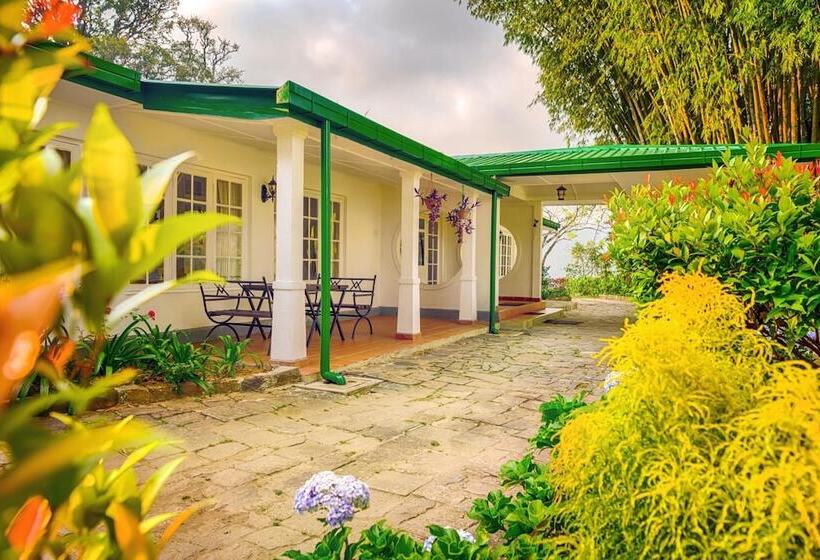 Pensione Strathdon By Zinc Journeys