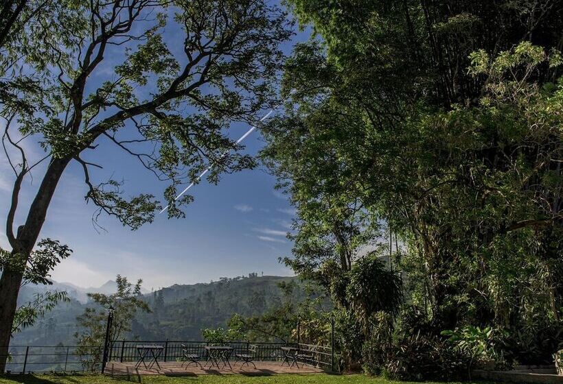 Pensione Strathdon By Zinc Journeys