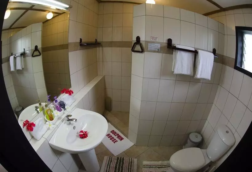 Dolphin House Resort Moalboal