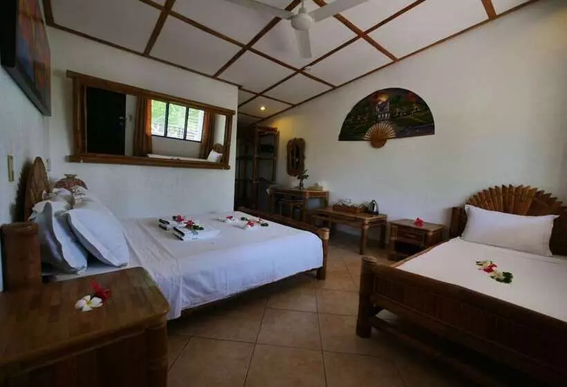 Dolphin House Resort Moalboal