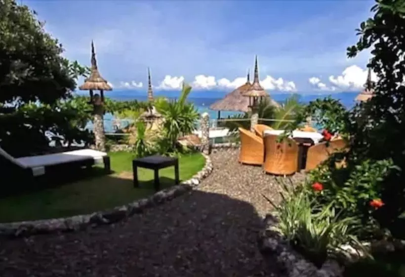 Dolphin House Resort Moalboal