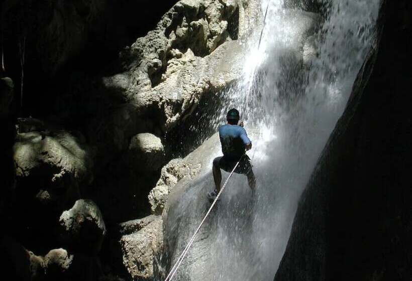 Dolphin House Resort Moalboal