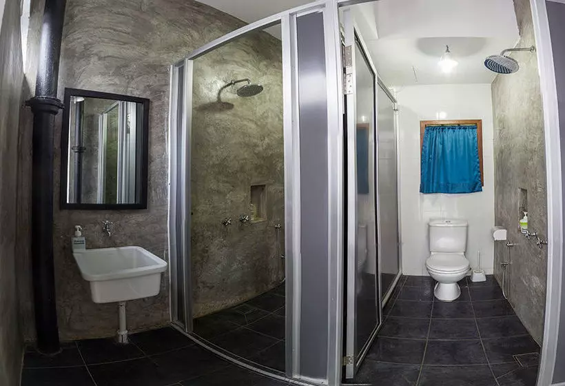 Roomies Boutique Bed & Breakfast  Hostel