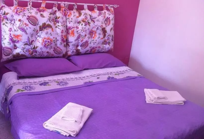 B&b Xenia
