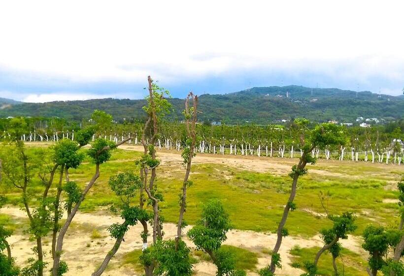 تختخواب و صبحانه Surfspot House