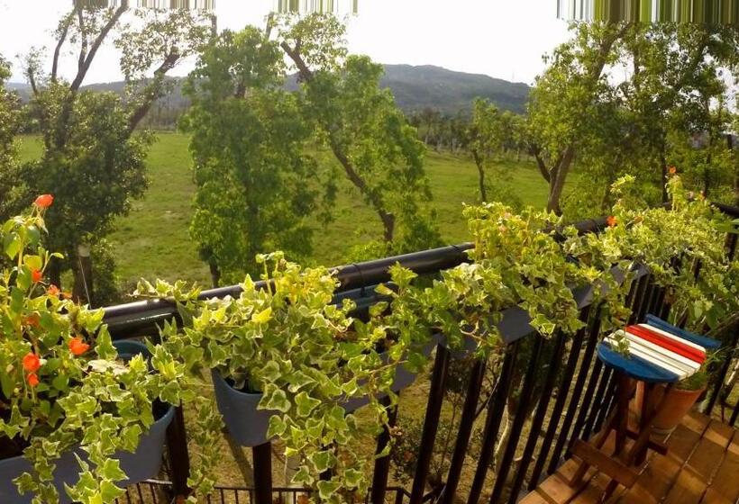 تختخواب و صبحانه Surfspot House