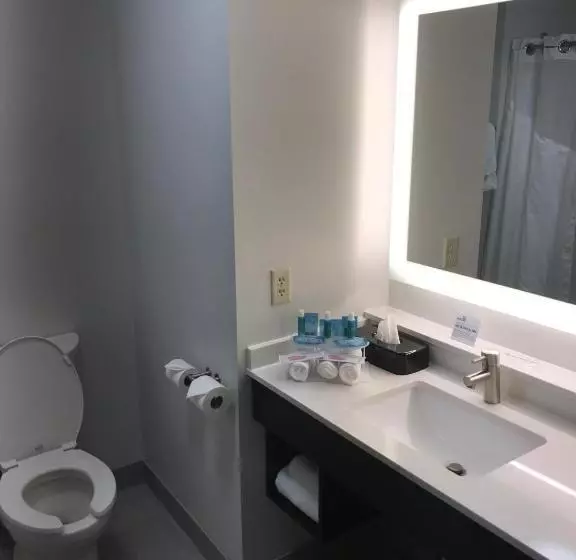 ホテル Holiday Inn Express & Suites Kingston Ulster, An Ihg