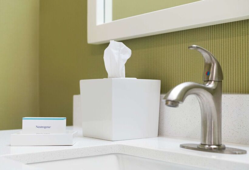 Отель Home2 Suites By Hilton Roanoke, Va