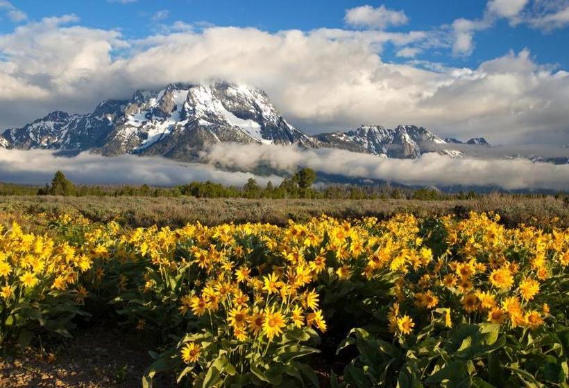 Hotelli Multi Resorts At Jackson Pines