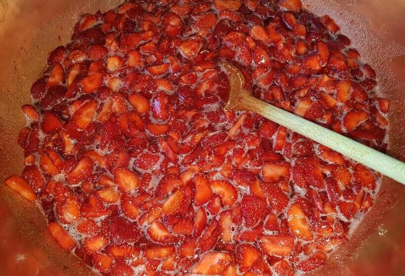 هتل Ty Gwenn La Baule