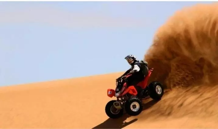 リゾートホテル Desert Safari Jaisalmer
