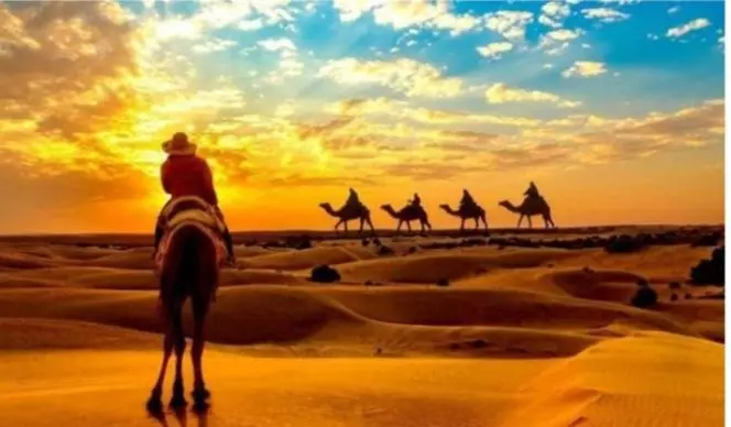 リゾートホテル Desert Safari Jaisalmer