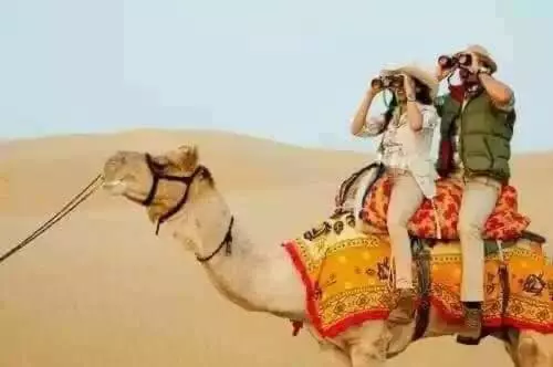 リゾートホテル Desert Safari Jaisalmer