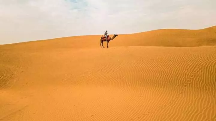 リゾートホテル Desert Safari Jaisalmer